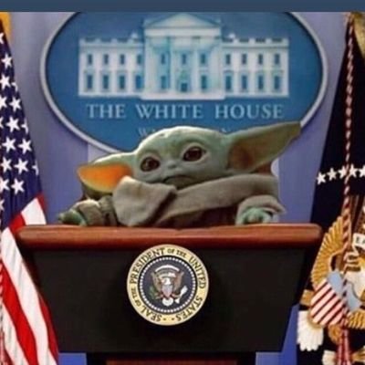 ZwerBio's profile picture. Live and learn