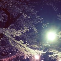 汐月@ツイフィ必読 (@shioduki_) Twitter profile photo