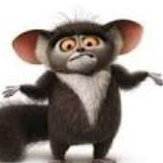 stevenmald0's profile picture. da lemur from da show
(not associated with madagascar or univeral please don sue me)