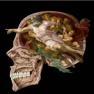 IB_EES's profile picture. Ingeniera Biomédica, Hija, Novia, Hermana, Amiga, a veces malinterpretada nunca malintencionada ;)