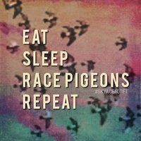 Sky Aces Loft (@skyacesloft) 's Twitter Profile