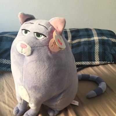 ButterVince's profile picture. A surviving man