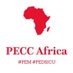 PECC Africa (@PECCAfrica) Twitter profile photo