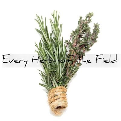 Wife • Motherx3 • Homeschool • Military Life • ☦️
Folk Remedies • Gardening • Simple Living •☮️•❤️