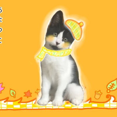 ねこ みそ アート♪ にゃんペース中…♪🐾໊さんのプロフィール画像