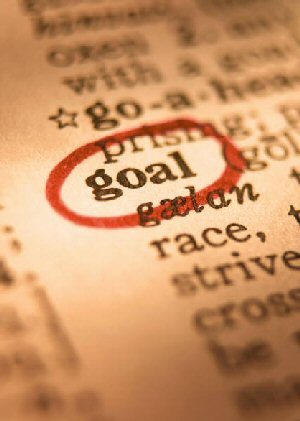 Hello, I'm a girl from the Netherlands and I decided to start up GoalsInLife. Follow me! ☻