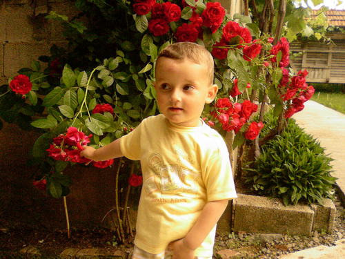 lami1975's profile picture. 