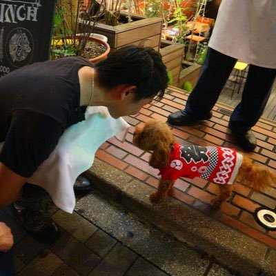 kanagawa sagamiharacity🏙97.10.26