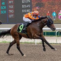 Ben Fitzsimmons (@benf1283) 's Twitter Profile