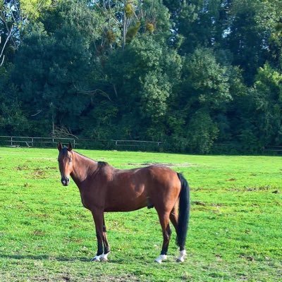 catherinevoege2's profile picture. « Que l’autorité se borne à être juste, nous nous chargerons d’être heureux « B.Constant. libérale de droite, mais conservatrice sur les sujets de société.