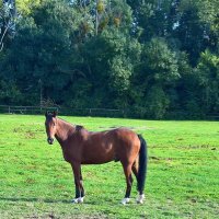 catherine voegelin (@catherinevoege2) 's Twitter Profile Photo catherine voegelin (@catherinevoege2) 's Twitter Profile Photo