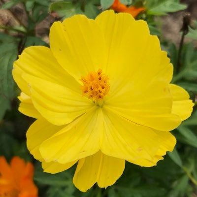 hiro_6560's profile picture. URLクリック＆いいね❤️よろしくお願いします🎶無言フォロー失礼致しますm(_ _)m映画、コスメ、美容、健康、ファッション、車、バイク、本、ギター、花、風景、ボビー、スイーツ、新商品、興味あり。いろんな情報をつぶやいています❗️メイン垢▶︎@hiro_3861サブ垢②▶︎@mkachiyou358