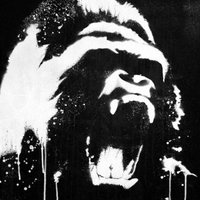 Monk£y Bar$ (@monk3ybarz) 's Twitter Profile