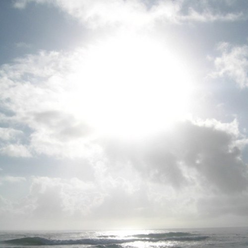 bondibeach123's profile picture. Twitterを通して、様々な価値観に触れたいです！