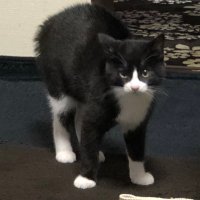 R (@gdtheripper) 's Twitter Profile