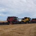 Nigel Roennfeldt (@r_bagriculture) Twitter profile photo Nigel Roennfeldt (@r_bagriculture) Twitter profile photo