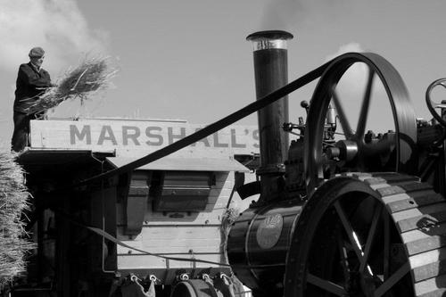 Family, sheep and traction engines