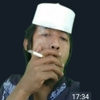 petinggi webounty
