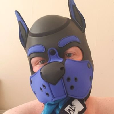 Just a horny puppy living in Brighton. Always up for some fun and new mates. Mostly here to share stuff that makes me horny and get naked, feel free to say hi!