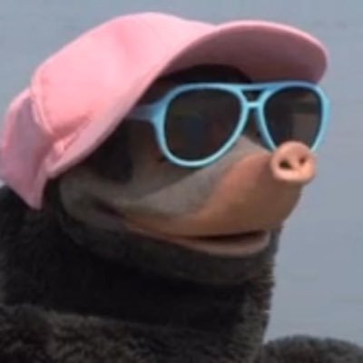 BeukersRoy's profile picture. 