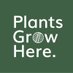 Plants Grow Here Podcast (@PlantsGrowHere) Twitter profile photo