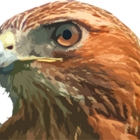 Closing Hawk (@closinghawk) 's Twitter Profile