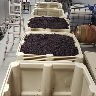 Assistant Winemaker/Executive Chef | French Connection Wines | Calais Winery | Hye, TX