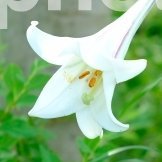 71i5KDKtnPkiLrf's profile picture. ラプト理論で霊界の真実を知ってこそ、地上で起きている悪事のことが理解できる。。https://t.co/EvFpj3xFOA　　https://t.co/SpQEyBWpgY
なぜなの。どうして。https://t.co/6077oei3XA
Instagram　https://t.co/TrqJwjjf04