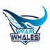 War Whales (@warwhales) Twitter profile photo War Whales (@warwhales) Twitter profile photo