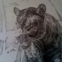 Naomi Hawkins - @naomi_artist Twitter Profile Photo