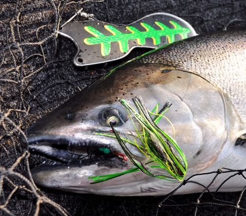 R621fisher's profile picture. Proud Ranger owner.I play hard in my 621 fishing Lake Ont. kings, Erie'eyes & bass with musky on the side.