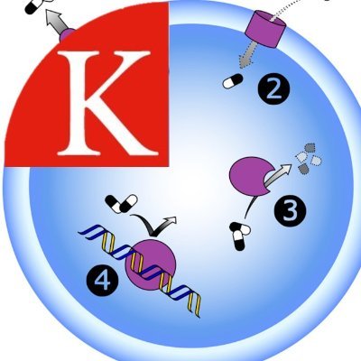 Antimicrobial Research Theme, Institute of Pharmaceutical Science, King's College London