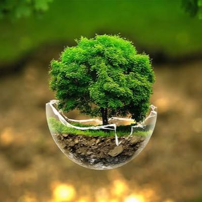 ahmed_hosni9080's profile picture. 