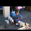 Deb Potter - @hapjack123 - Twitter