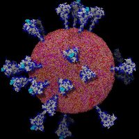 CoronaVirus19 Omicron (@corona_virus19x) 's Twitter Profile Photo CoronaVirus19 Omicron (@corona_virus19x) 's Twitter Profile Photo