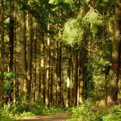 Nonick001234's profile picture. 