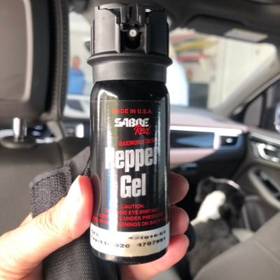 juliaiannone4's profile picture. 