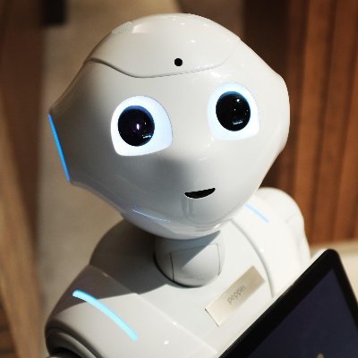 AI Bot Profile