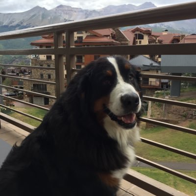 papa_jones73's profile picture. 