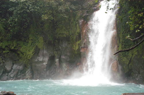 MichaelaGT's profile picture. 