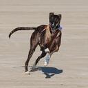 Christian Barth - @geko292 - Twitter