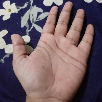 ParboniN's profile picture. 