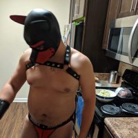 Pup Idaho* (@pupidaho) 's Twitter Profile