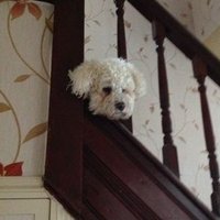 Keith Astbury (@astbury_keith) 's Twitter Profile