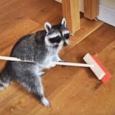 RedBeanPaste3's profile picture. 