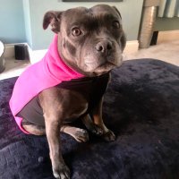 Judith Bryce (@jwhite1037) 's Twitter Profile