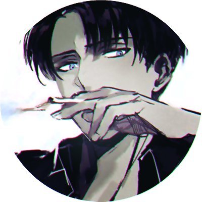 she/her - bi 🏳️‍🌈 - weeb - also Levi is my husband // main acc: @sofiawhaliens