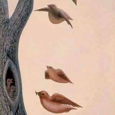 pEJnWbIsVd2eicf's profile picture. أجدني دوما مشدودا إليك يا أمي .. أتراهم نسوا أن يقطعوا بيني وبينك الحبل السري.

#جلال_الدين_الرومي