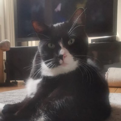 PinelleSalome's profile picture. I’ m a zoulette