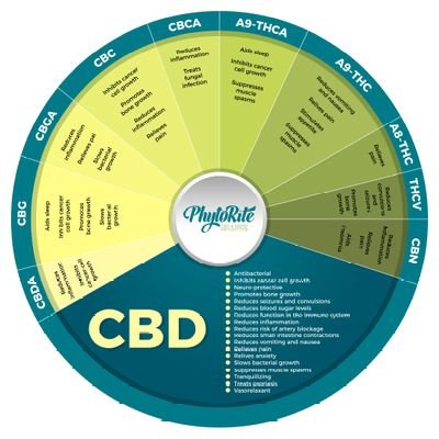 A trusted resource for #hemp #CBD products for people and pets. Get relief from pain and inflammation.
Follow us on Instagram: https://t.co/mPvdKHLtMK